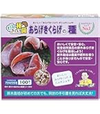 森のきのこ倶楽部 しいたけ種駒 森290号 にく丸 800個入り ３セットまとめ Amazon | 森のきのこ倶楽部 しいたけ種駒 森290号 にく丸 (800駒